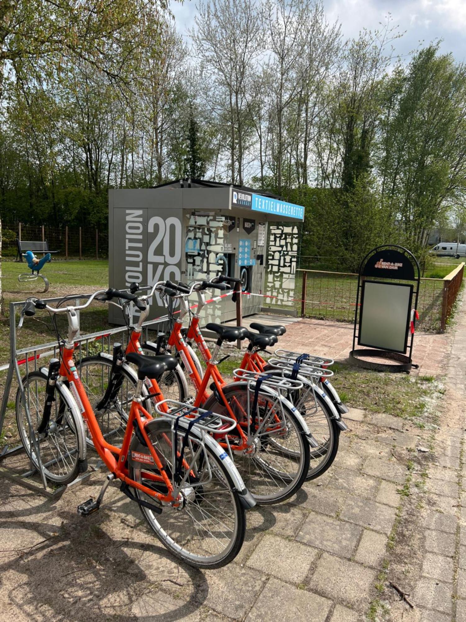 Chalet Quattro In Bosrijke Omgeving Anloo Esterno foto